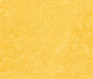 Плитка Forbo Marmoleum Click 333251 lemon zest