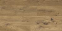 Пробковый пол Corkstyle Print Cork Wood XL Oak Knotty клеевой