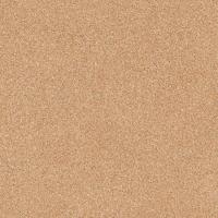 Линолеум Profi Master 3587 Proxi 1 (рулон: 2x20=40 м2)