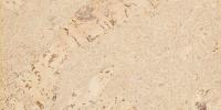 Стеновая панель Corkart Cork Guard 323c NW PW3 323c NW-3.0
