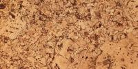 Пробковые полы IberCork EasyCork Эсторил
