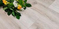 SPC ламинат Stone Floor Дуб Молочный 1513-2 НР