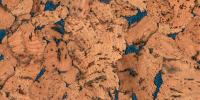Стеновая панель Corkstyle Wall Design Monte Blue