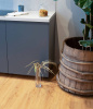 LVT Ламинат VinilPol Glue 2/31 4V 7896-EIR Дуб Флоренция 1219.6x228.6