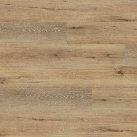 SPC Ламинат Wineo 400 Wood XL 5.5/31 4V RLC126WXL Дуб радостный мягкий 1522x225