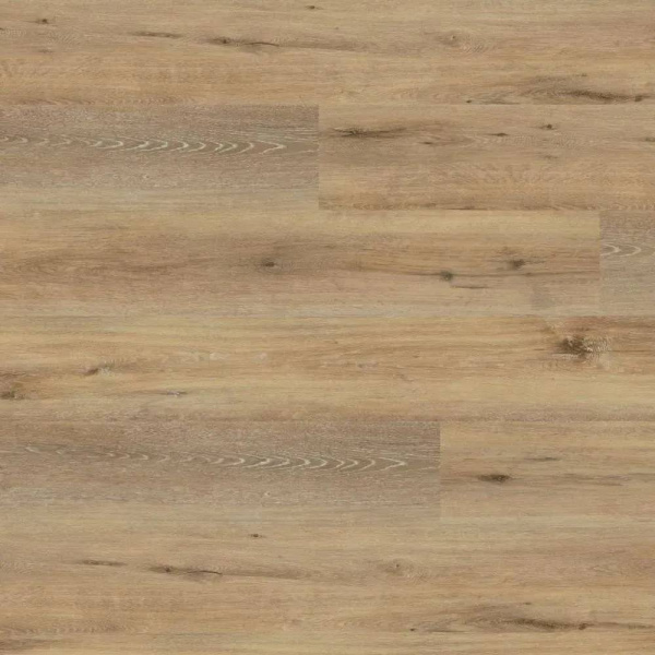 SPC Ламинат Wineo 400 Wood XL 5.5/31 4V RLC126WXL Дуб радостный мягкий 1522x225