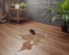 WPC Ламинат Aquafloor Realwood (Риалвуд) 6/43 4V AF6051 1220x178