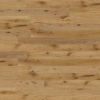 Паркетная доска Wicanders Wood Parquet Дуб Лиссабон RW04357