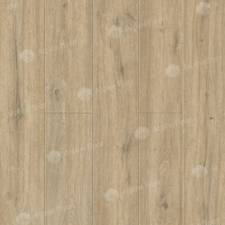 LVT Ламинат Alpine Floor Solo Plus 4/43 4V ECO 14-1001 Анданте 1220x183