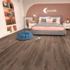SPC ламинат Aspenfloor Trend Дуб Кантри TR2-06