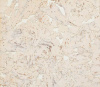 Стеновая панель Corkart Cork Guard 324c WS PW3 324c WS-3.0