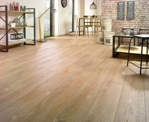 Ламинат Homflor Distingo Cajun Oak 535