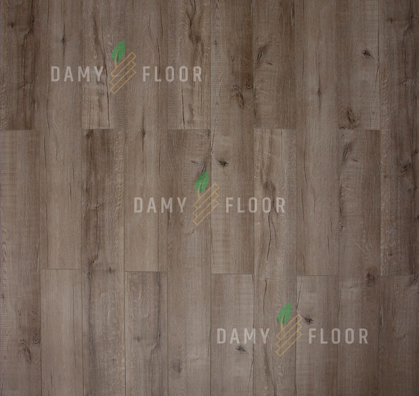 SPC ламинат Damy Floor Family Дуб Изысканный JC8271-7