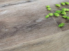 SPC Ламинат Aspenfloor Premium wood XL 6.5/43 4V PW4-04 Дуб Альпийский 1220x228