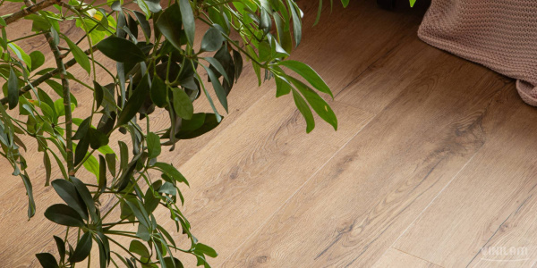 LVT Ламинат Vinilam Glue Luxury 2.5/43 4V 33808 Дуб Витория 1227x232