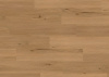 LVT Ламинат Ter Hurne Wood Edition 2.5/42 4V 1101210424 PRO Дуб Лион 1516.9x241.3