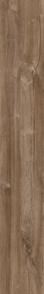 SPC Ламинат Creto ElegantWood 5/43 4V CR65305 Дуб натуральный Африканский 1220x183
