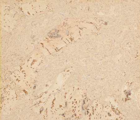 Стеновая панель Corkart Cork Guard 323c NW PW3 323c NW-3.0