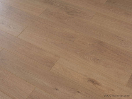 Ламинат Lamiwood Select 8/34 4V 818 Дуб Медовый 1215x195