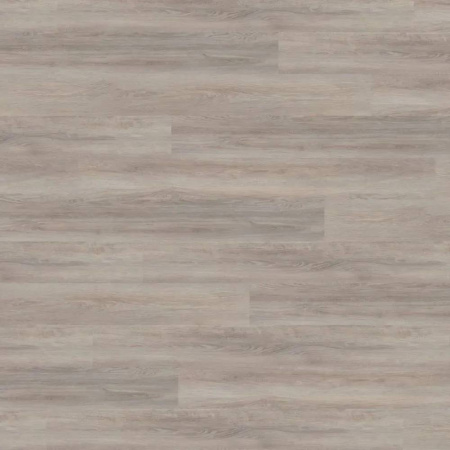SPC Ламинат Wineo 400 Wood XL 5.5/31 4V RLC301WXL Дуб светло-серебристый 1522x225