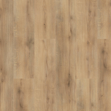 SPC Ламинат Tarkett Progressive House (Прогрессив Хаус) 4.4/34 4V 277007033 Nicole (Николь) 1220x200.8