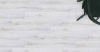 Ламинат Kastamonu Blue (Синий) 8/33 4V FP722 Дуб Нортленд 1380x193