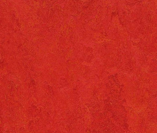 Плитка Forbo Marmoleum Click 333131 scarlet