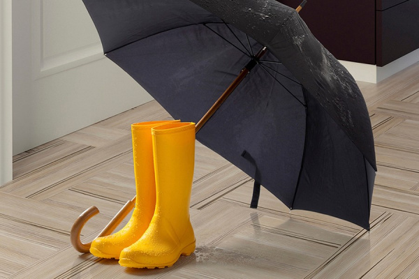 ????????? ??? Corkstyle Print Cork Woodwise Apart ????????