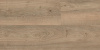 Ламинат Kronostar Synonym Дуб Мендель D50137