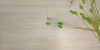 SPC ламинат Aspenfloor Smart Choice Дуб Фостер SC1-02