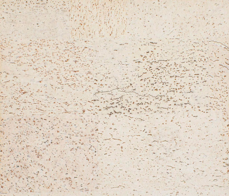 Стеновая панель Corkart Cork Guard 386c WS PW3 386c WS-3.0