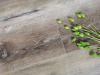 SPC Ламинат Aspenfloor Premium wood XL 6.5/43 4V PW4-04 Дуб Альпийский 1220x228
