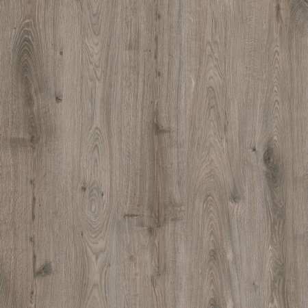 SPC Ламинат FloorBee Project 4.3/43 4V 1510 Дуб Вельвет 1218x180