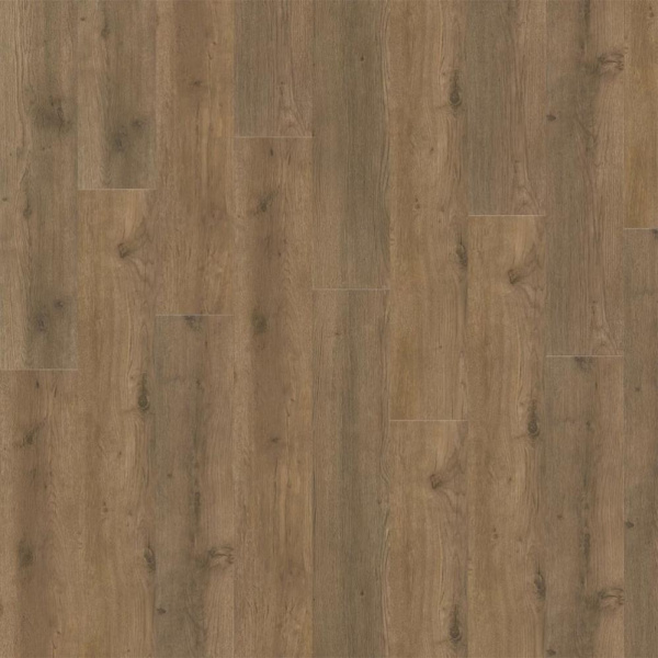 Ламинат SPC Adelar Eterna Acoustic Major Oak 05855LG