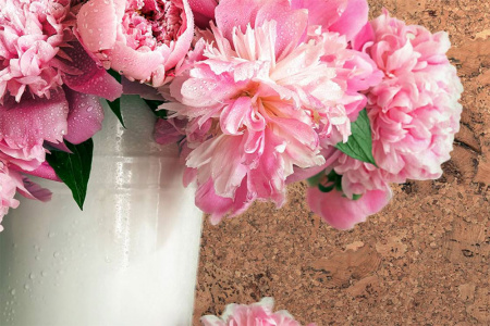 Стеновая панель Corkstyle Wall Design Vico Nat