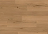 LVT Ламинат Ter Hurne Wood Edition 2.5/42 4V 1101210424 PRO Дуб Лион 1516.9x241.3