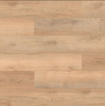 SPC ламинат Salag Wood Mastery YV2041